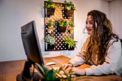 Verticale tuin groene muur voor kantoor