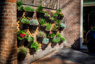 Verticale tuin panelen buiten met bloembakken