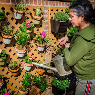 Verticale tuin voor verse kruiden en bloemen buiten water geven