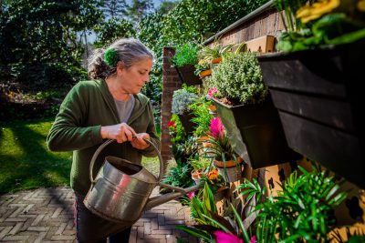 Verticale tuin kruidenrek voor verse kruiden buiten water geven