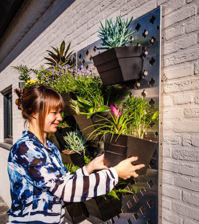 Bloemen bakken eenvoudig ophangen aan verticale tuin