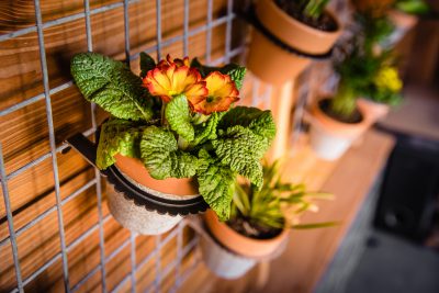 Verticale tuin panelen buiten aan schutting met bloembakken