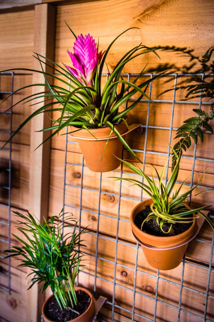 Verticale tuin rooster met bloempotten buiten