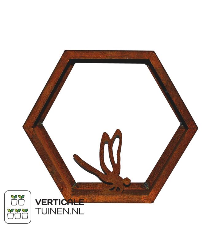 Open Display - Afbeelding 6