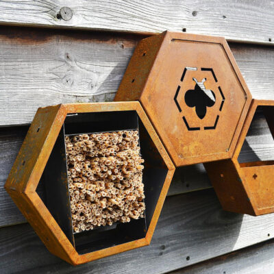 hexagon